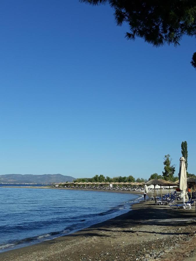 Gorjelina 'S House Villa Volos Eksteriør bilde