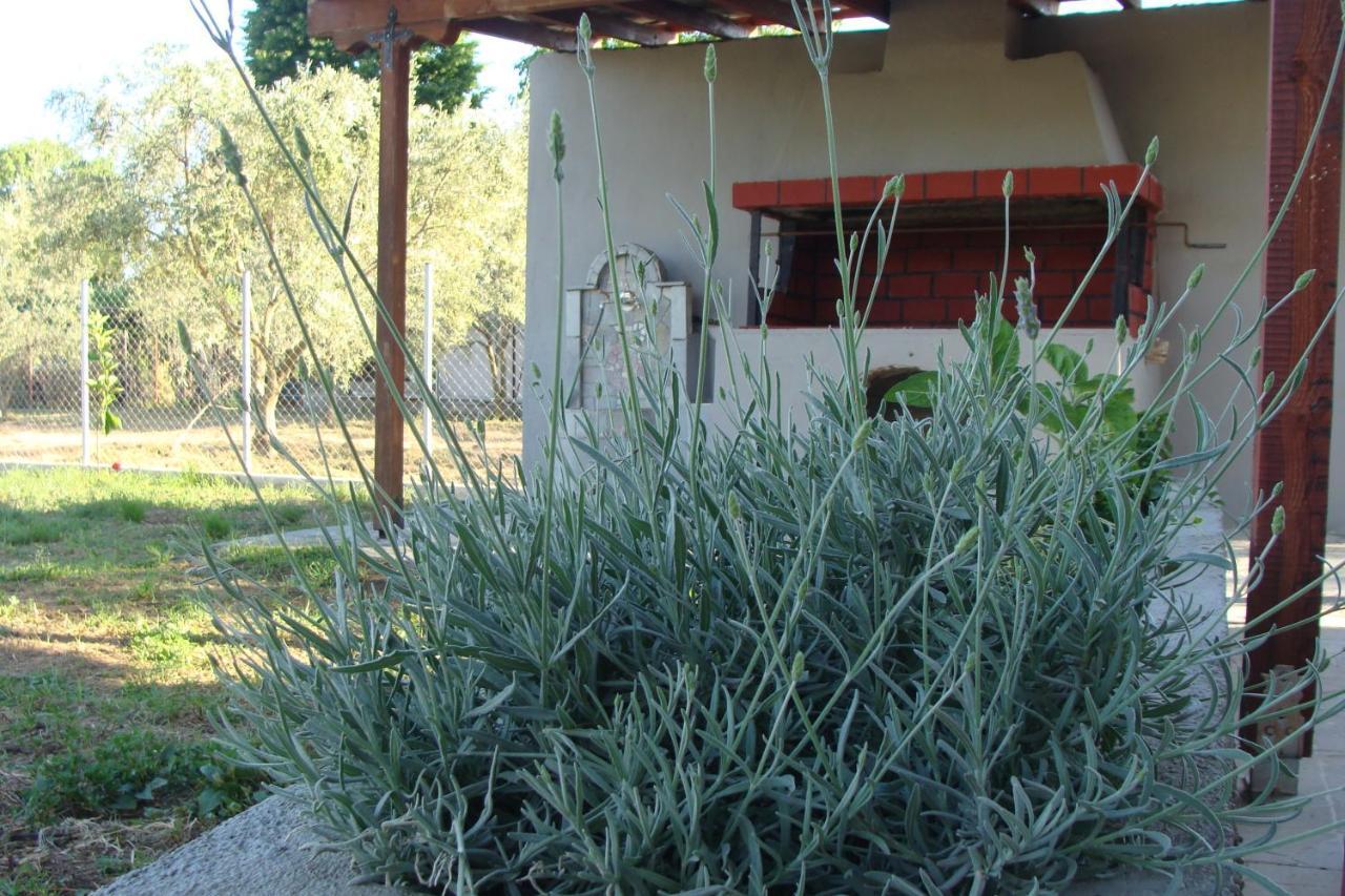 Gorjelina 'S House Villa Volos Eksteriør bilde